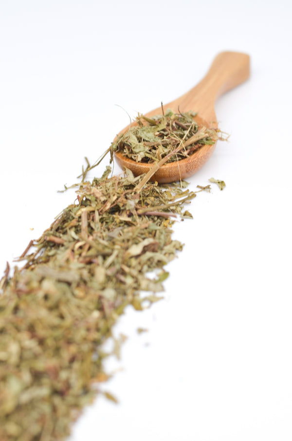 Chanca Piedra: What You Need to Know About This ‘Stone-Breaking’ Herb