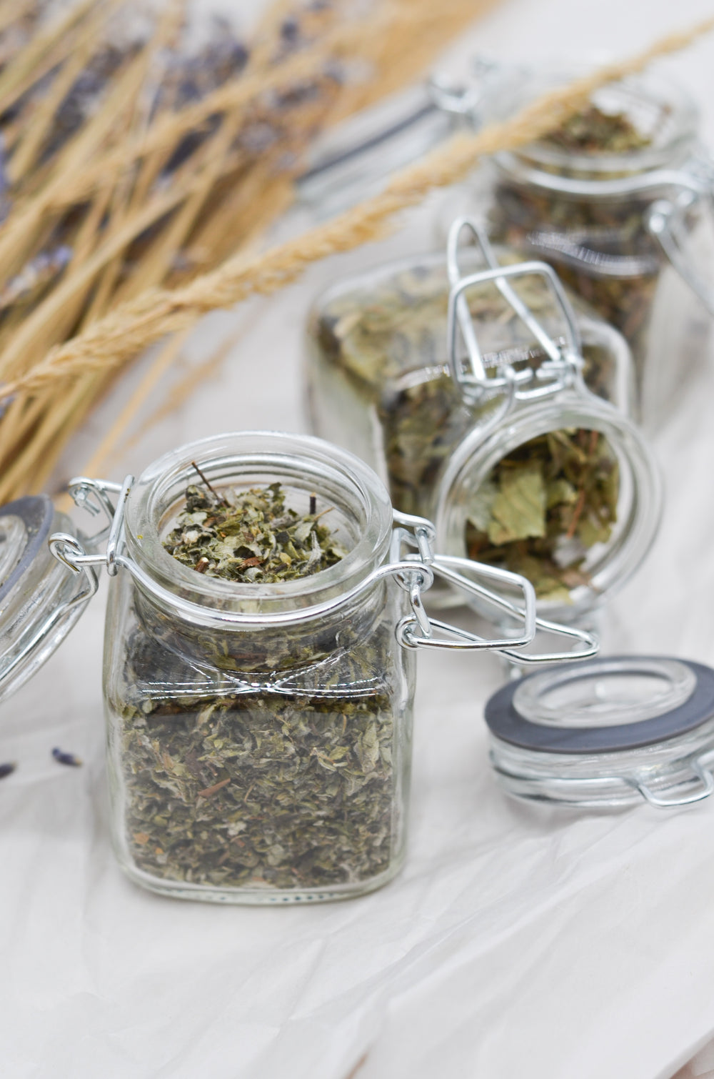 Inca Master Tea Co. Is a Natural Herbal Tea Brand